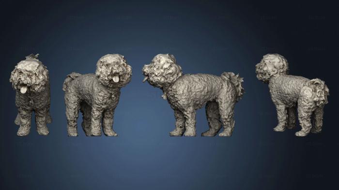 3D model poodle 04 (STL)