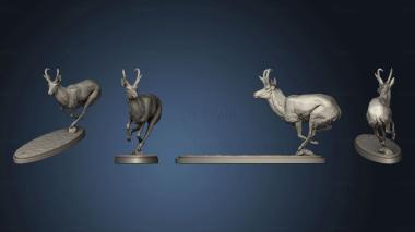 3D model Pronghorn Chase 2 (STL)