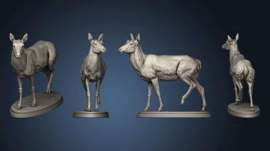 3D model Pronghorn Female (STL)