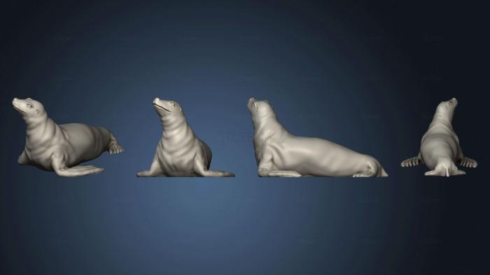 Статуэтки животных Seal A Based 001