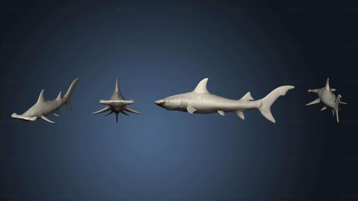 3D model shark 02 (STL)