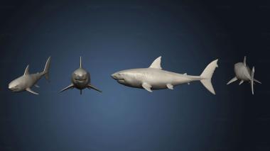 3D model shark v 3 (STL)