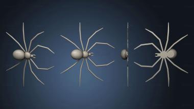 3D model spider (STL)