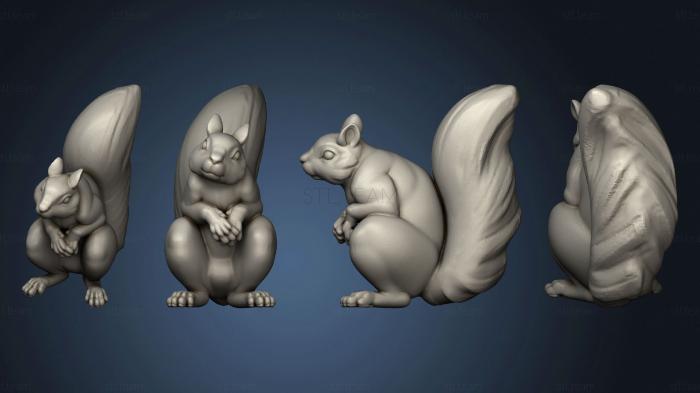 Статуэтки животных Squirrel 3