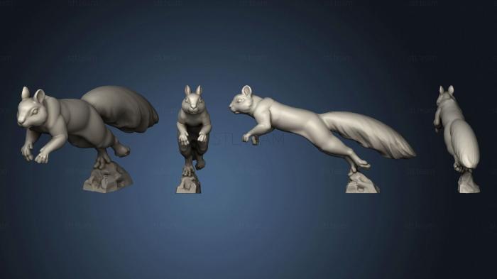3D model Squirrel 4 (STL)
