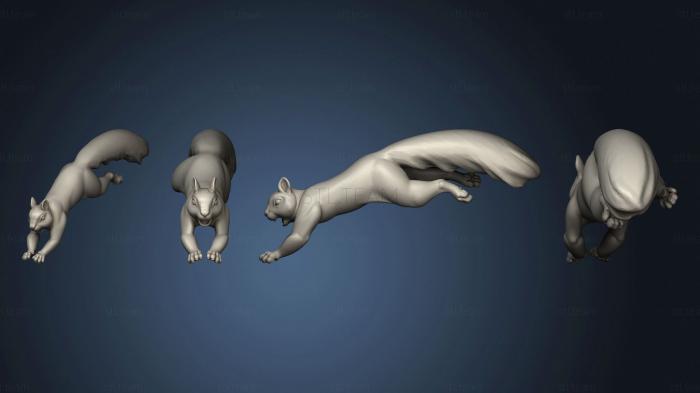 3D model Squirrel 5 (STL)