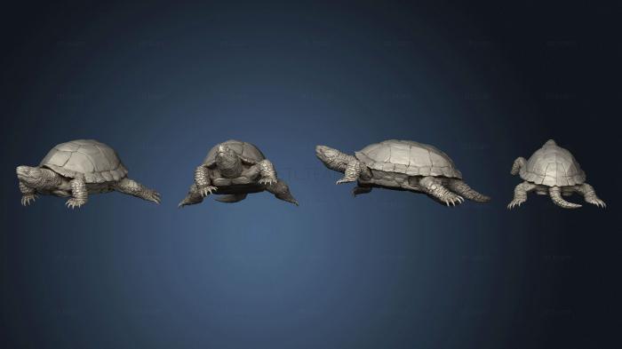 Статуэтки животных Turtle v 3