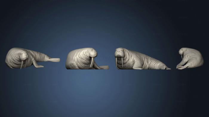 3D model Walrus Large (STL)
