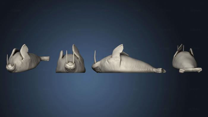 3D модель Морж Отдыхает Большой (STL)