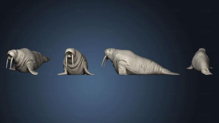 Статуэтки животных Walrus Roar Large
