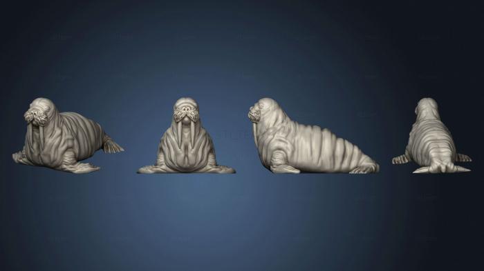 3D model Walrus Unbased (STL)