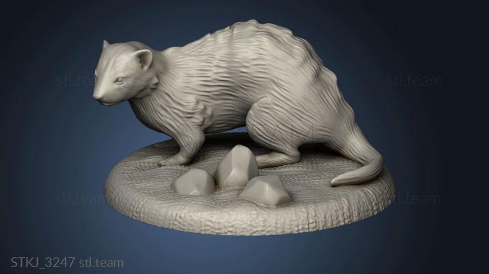 3D model Ferret (STL)