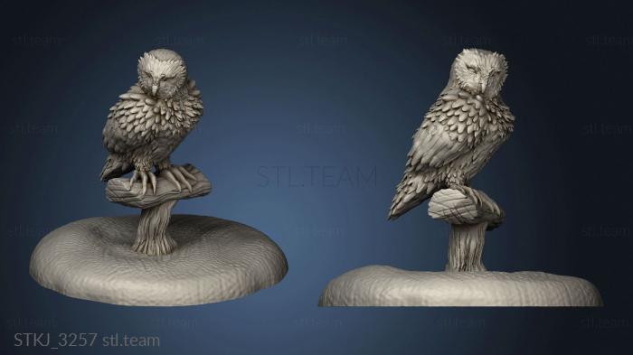 3D model Owl (STL)