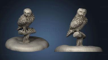 3D model Owl (STL)