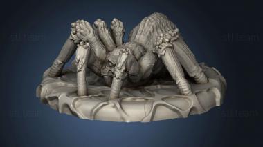 3D model Spider (STL)