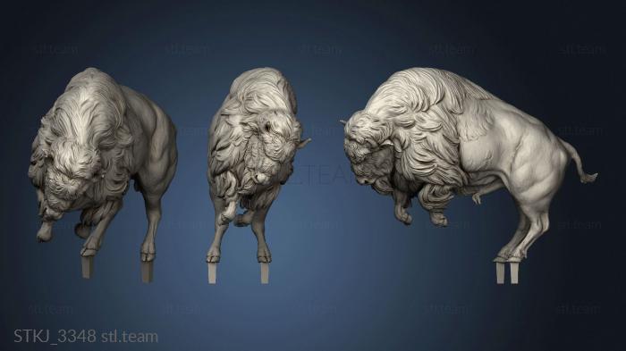 3D model Animal American Bison charging (STL)