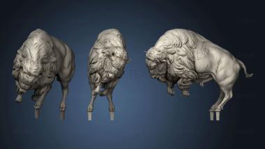 3D model Animal American Bison charging (STL)