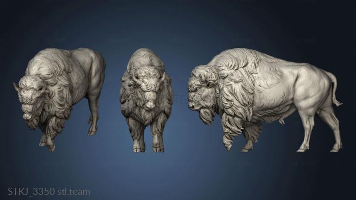 3D model Animal American Bison (STL)