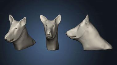 3D model ANIMAL (STL)