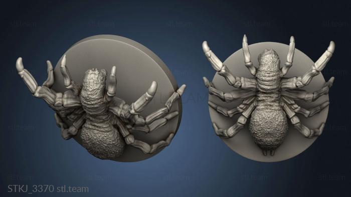 3D model Animals Spider (STL)