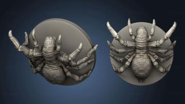 3D model Animals Spider (STL)