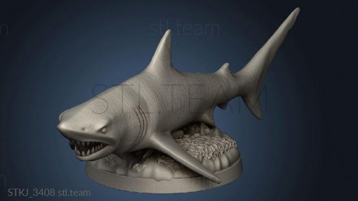 Aquatic Creatures Shark