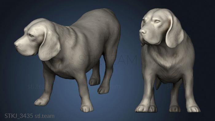 3D model beagle dog (STL)