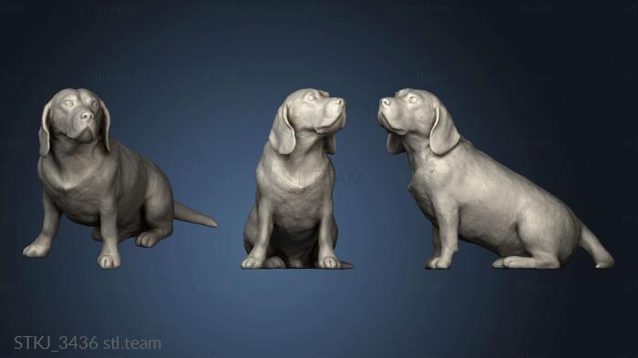 3D model beagle dog (STL)