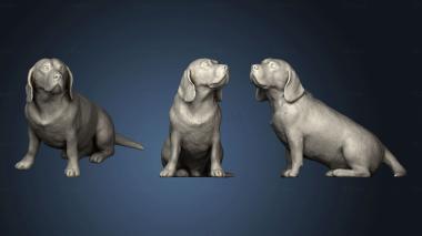 3D model beagle dog (STL)