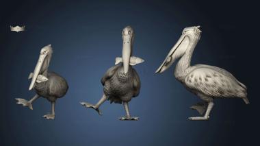 3D model Birds Crow (STL)