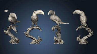 3D model Birds Crow (STL)