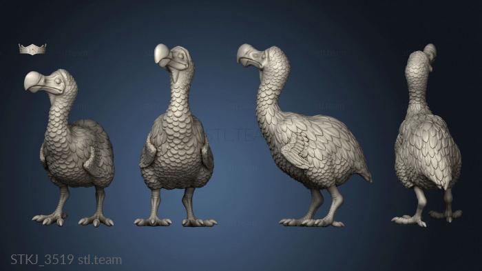 3D model Birds Crow (STL)