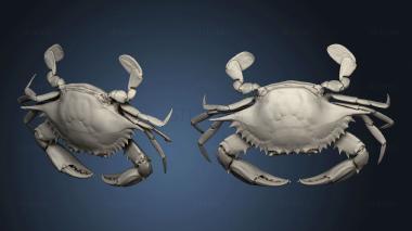 3D model blue crab master geometry (STL)