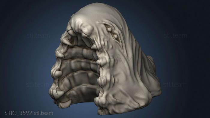 3D model Leeches (STL)