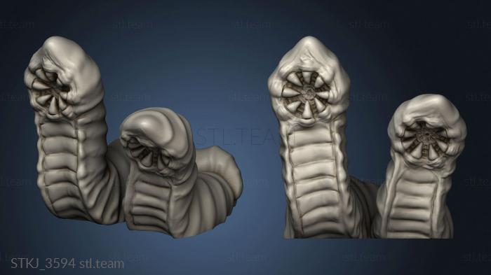 3D model Leeches (STL)