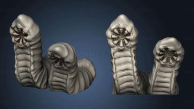 3D model Leeches (STL)