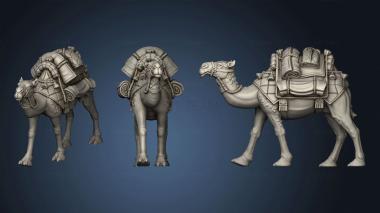 3D model camels CAMEL GEAR (STL)