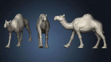 3D model camels CAMEL NAKED (STL)