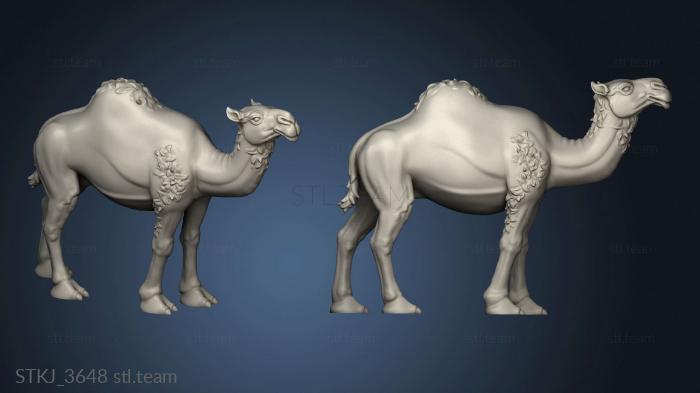 3D model CAMELS CAMEL NAKED (STL)