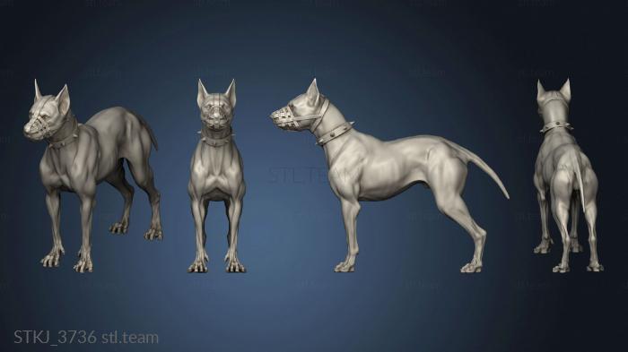 3D model City Dreams Gangster Lady Charlotte Dog Companion (STL)