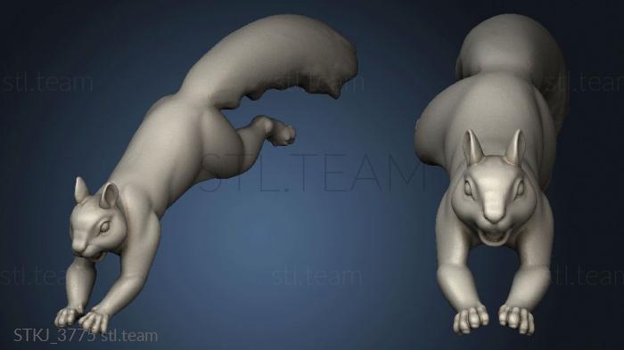 3D model Squirrels Squirrel (STL)