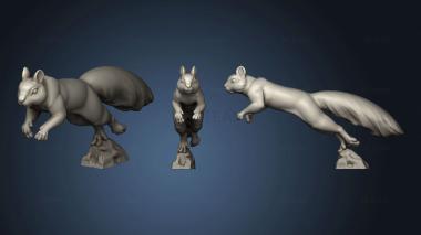 3D model Squirrels Squirrel (STL)