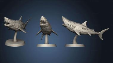 3D model Deep Waters Sharks shark base (STL)