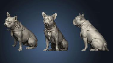 3D model Dog Animal Rt Sit (STL)