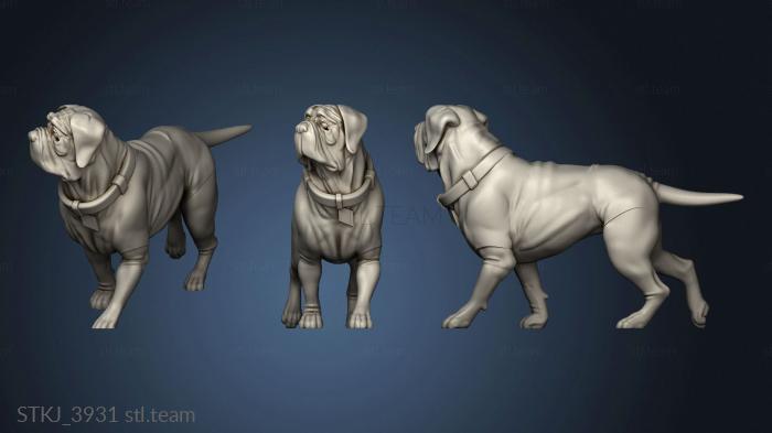 3D model Dogs basset hound (STL)