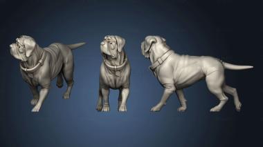 3D model Dogs basset hound (STL)