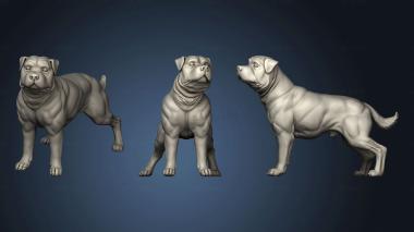 3D model Dogs Dog (STL)