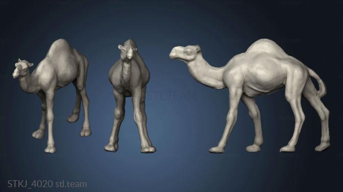 3D model Egypt Camel (STL)