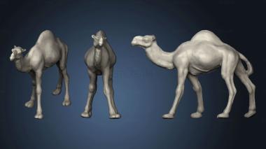 3D model Egypt Camel (STL)