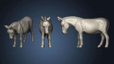 3D model Medieval Village Donkey (STL)